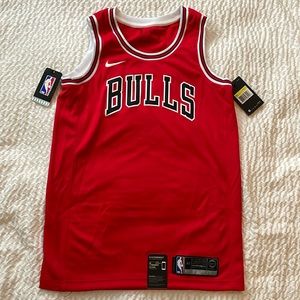 🆕 Chicago Bulls Jersey